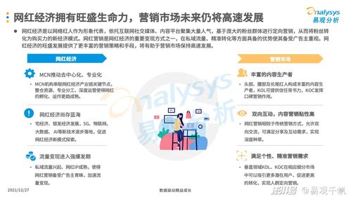 2021年中國互聯(lián)網(wǎng)廣告市場年度分析 互聯(lián)網(wǎng)銷售的雙重引擎